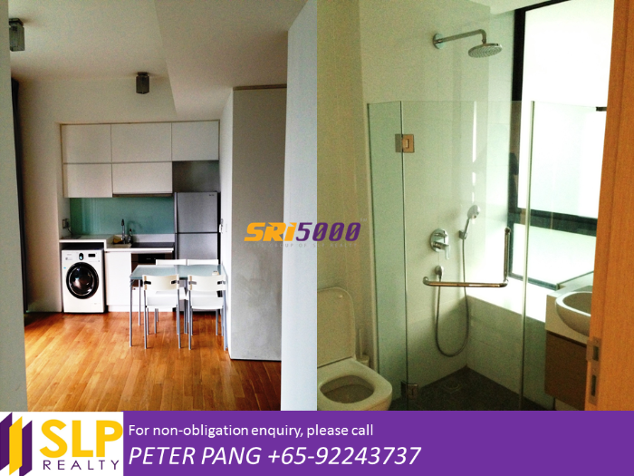 Illuminaire On Devonshire (D9), Apartment #45449522